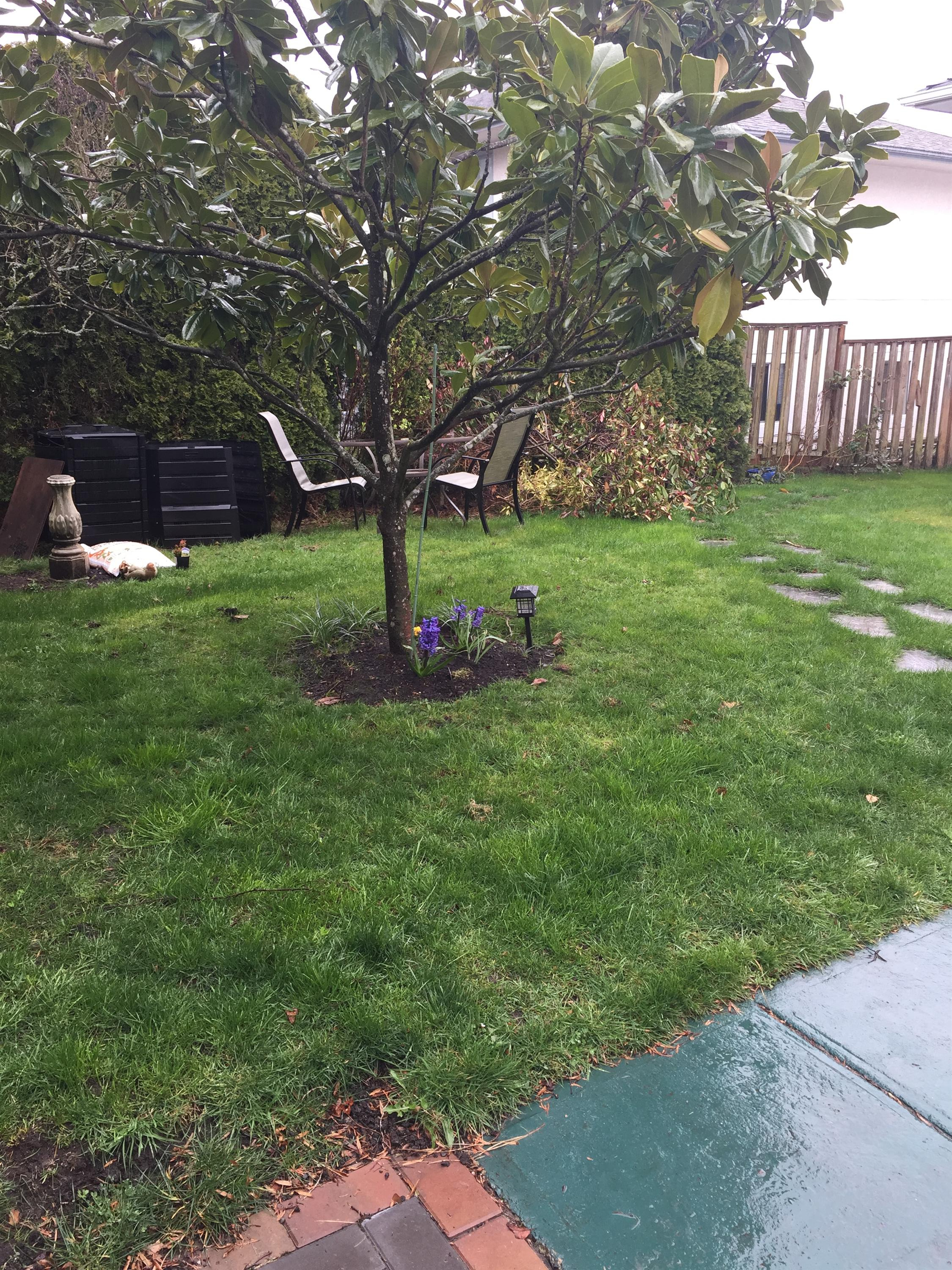 1279 Derby Road - 1
